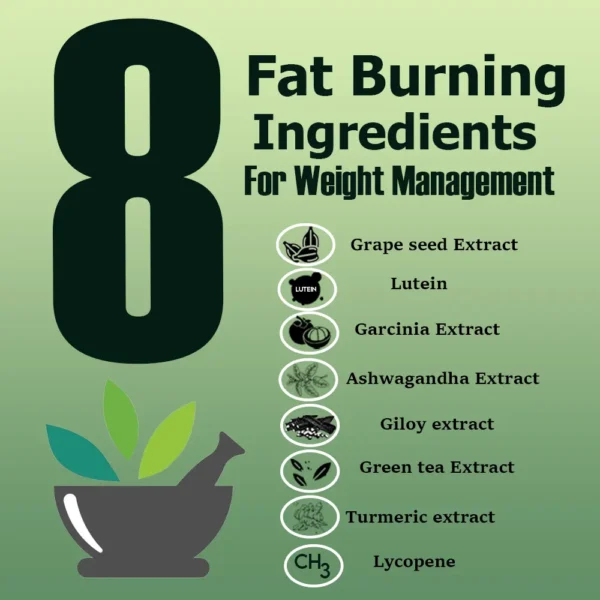 Vegan Lean Plant Protein - Image 9